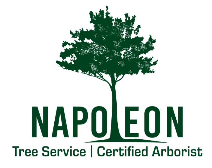 ** Napoleon Tree Service - Gold Partner